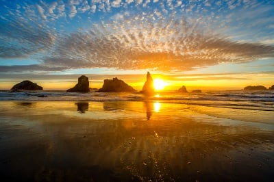 Thing To Do Seaside OR